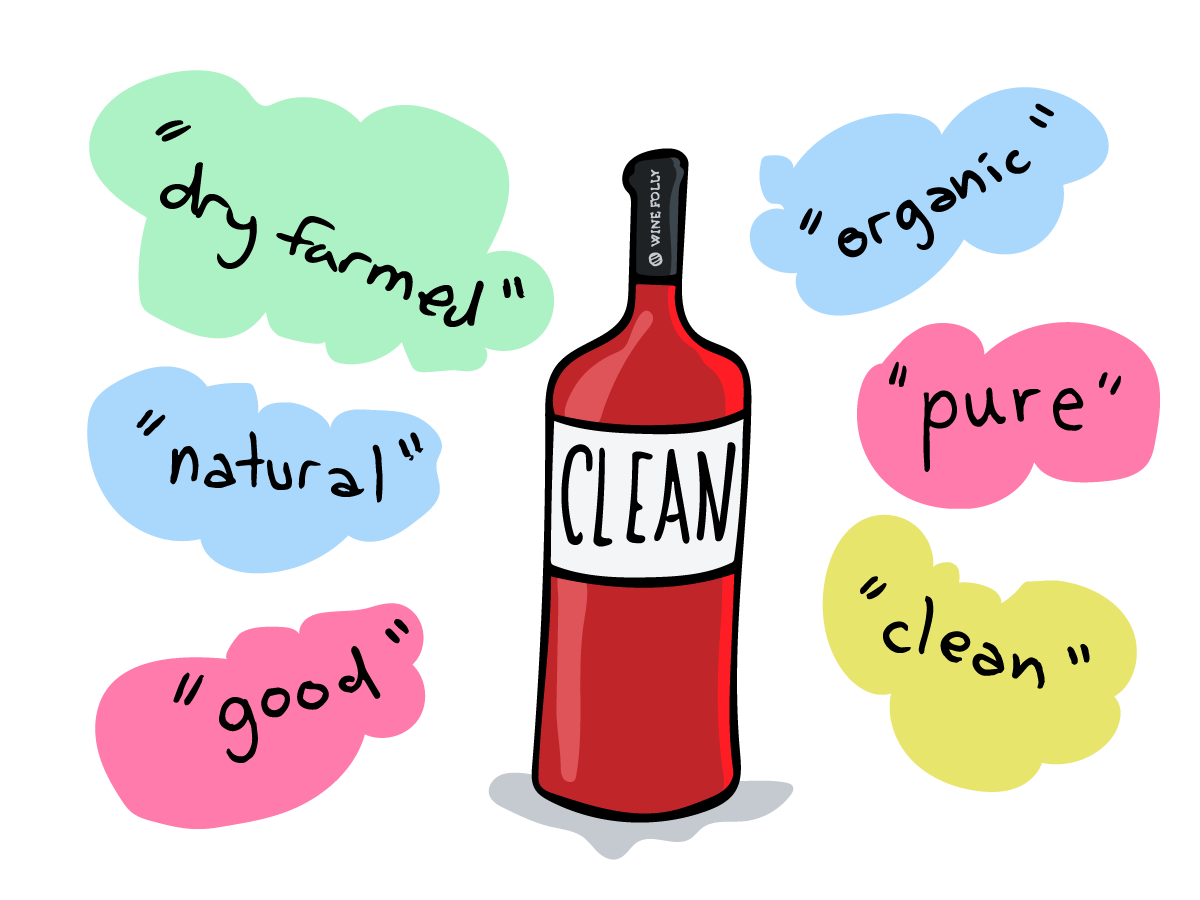 Cover Image for Clean Wines: The Truth About Biogenic Amines and Wine